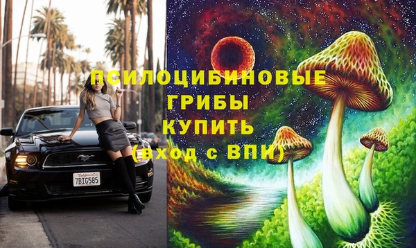 каннабис Алзамай