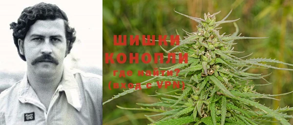 PSILOCYBIN Алексин