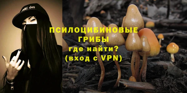 PSILOCYBIN Алексин