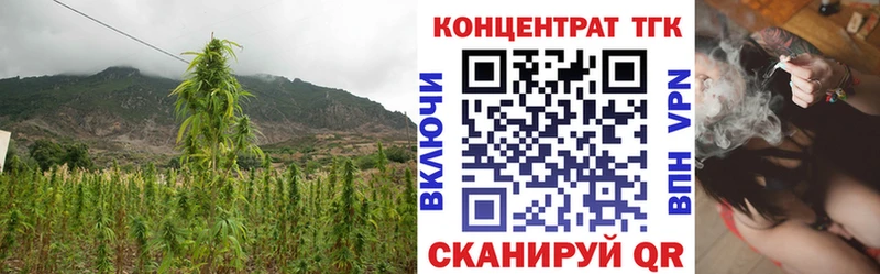 ТГК THC oil  ссылка на мегу   Алзамай 